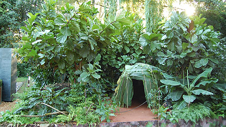 rainforest-garden-design-33_4 Дъждовна градина дизайн