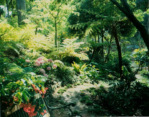 rainforest-garden-design-33_6 Дъждовна градина дизайн