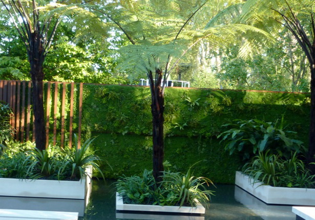 rainforest-garden-design-33_8 Дъждовна градина дизайн