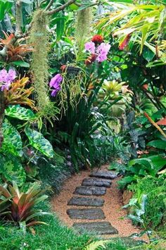 rainforest-garden-ideas-16 Идеи за градината на тропическите гори