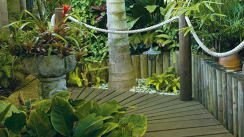 rainforest-garden-ideas-16_12 Идеи за градината на тропическите гори