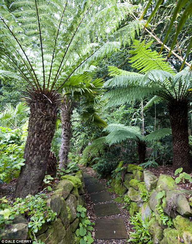 rainforest-garden-ideas-16_20 Идеи за градината на тропическите гори