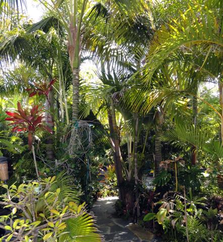 rainforest-garden-ideas-16_8 Идеи за градината на тропическите гори