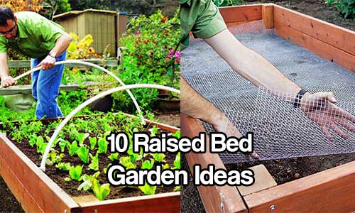 raised-bed-garden-ideas-36_10 Повдигнати легло градински идеи