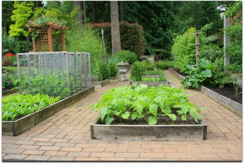 raised-bed-vegetable-garden-design-66_11 Повдигнато легло зеленчукова градина дизайн