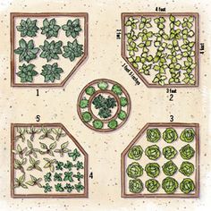 raised-bed-vegetable-garden-design-66_14 Повдигнато легло зеленчукова градина дизайн