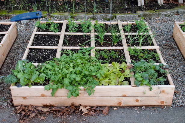 raised-bed-vegetable-garden-design-66_15 Повдигнато легло зеленчукова градина дизайн