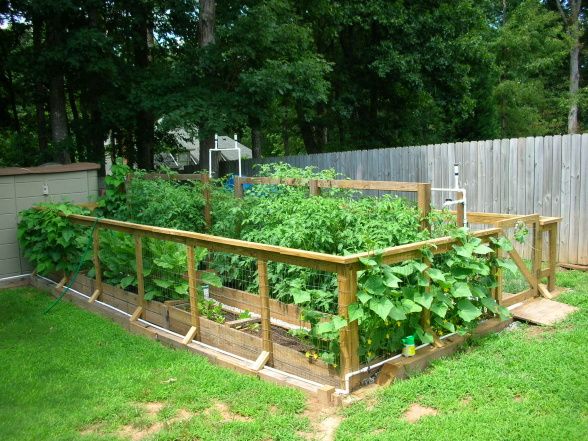 raised-vegetable-garden-design-83_12 Повдигнати зеленчукова градина дизайн