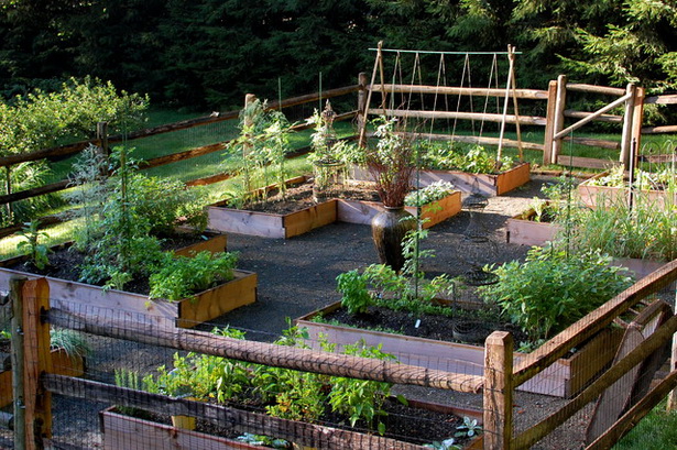 raised-vegetable-garden-design-83_4 Повдигнати зеленчукова градина дизайн