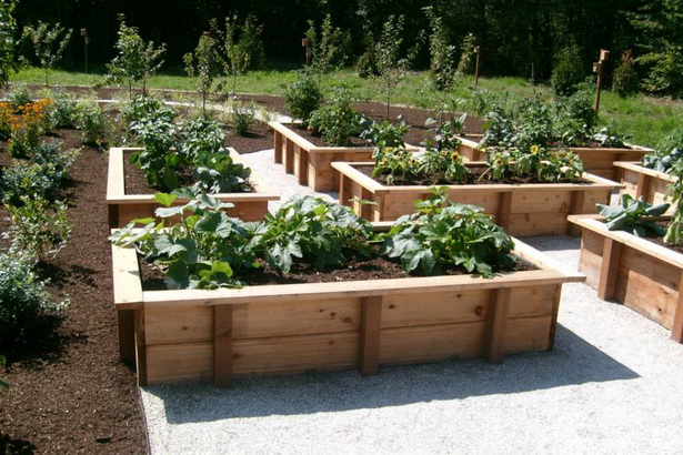 raised-vegetable-garden-design-83_6 Повдигнати зеленчукова градина дизайн