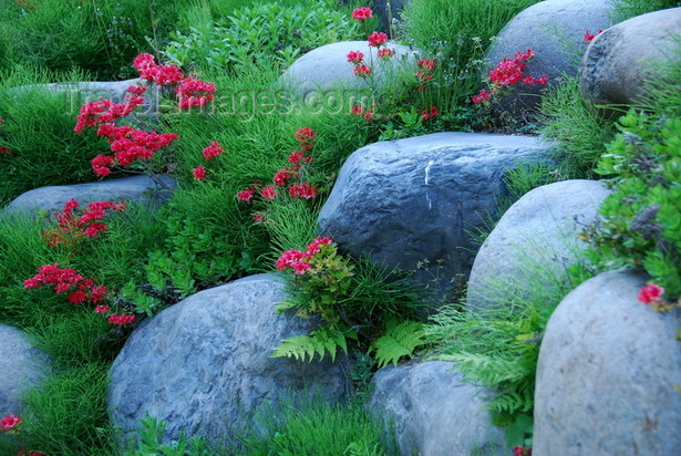 rock-flower-garden-74_11 Рок цветна градина