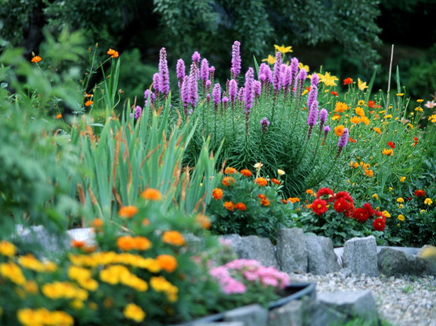 rock-flower-garden-74_13 Рок цветна градина