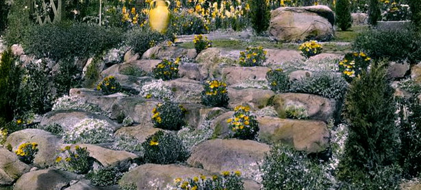 rock-garden-decor-14_17 Алпинеум декор