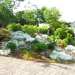 rock-garden-designs-for-front-yards-93_8 Дизайн на алпинеуми за предни дворове