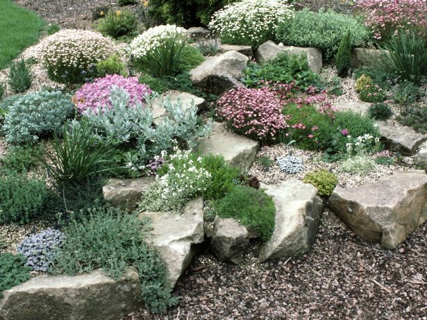 rock-garden-flower-beds-34_9 Алпинеуми цветни лехи