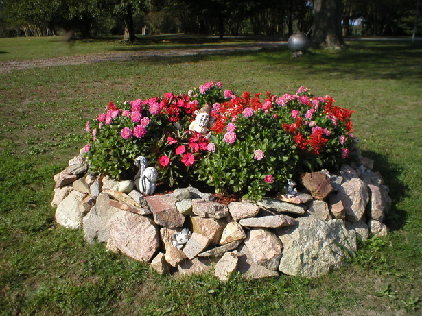 rock-garden-flowers-82_15 Рок градински цветя