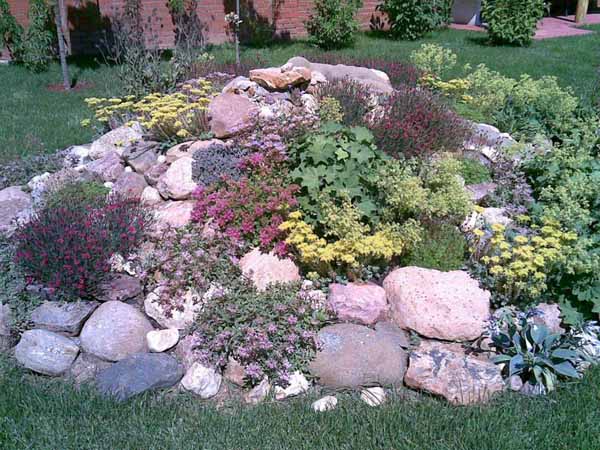 rock-garden-ideas-for-small-gardens-14_10 Идеи за алпинеуми за малки градини