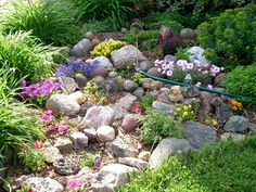 rock-garden-ideas-for-small-gardens-14_5 Идеи за алпинеуми за малки градини