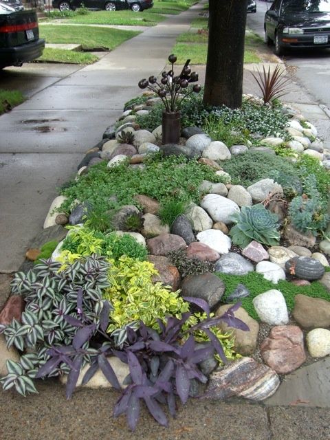 rock-garden-ideas-for-small-yards-73_10 Идеи за алпинеуми за малки дворове