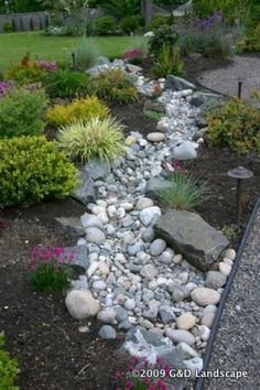 rock-garden-ideas-for-small-yards-73_14 Идеи за алпинеуми за малки дворове