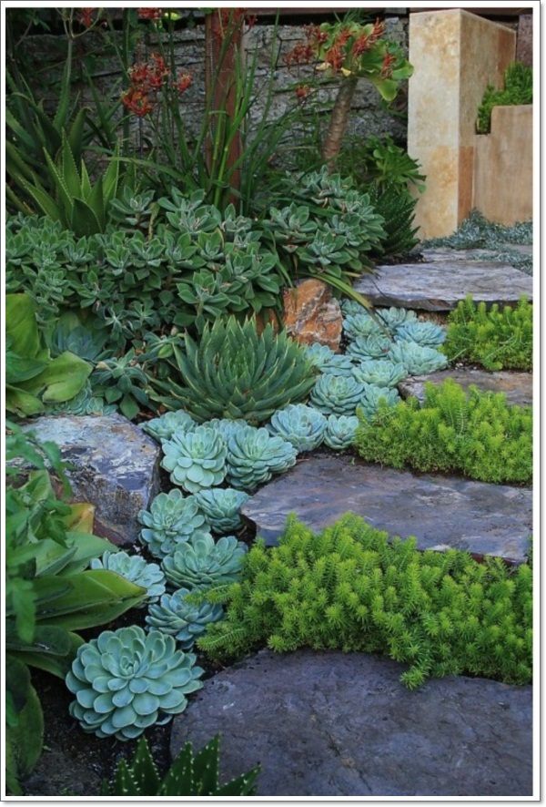 rock-garden-ideas-plants-67 Алпинеум идеи растения