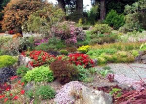 rock-garden-ideas-plants-67_10 Алпинеум идеи растения