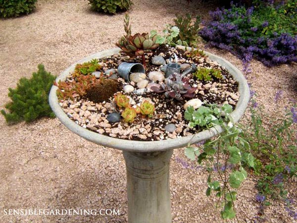 rock-garden-planters-64_2 Алпинеуми