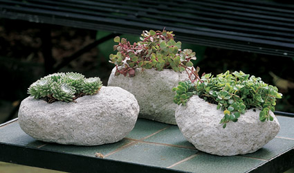 rock-garden-planters-64_9 Алпинеуми