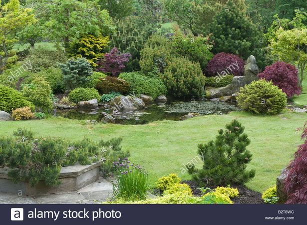 rock-garden-shrubs-18_17 Алпинеум храсти