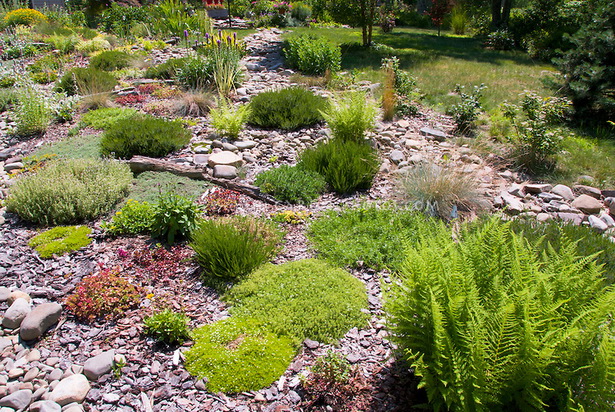 rock-garden-shrubs-18_5 Алпинеум храсти