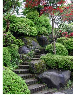 rock-garden-shrubs-18_6 Алпинеум храсти