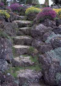 rock-garden-succulents-79_8 Рок градина сукуленти