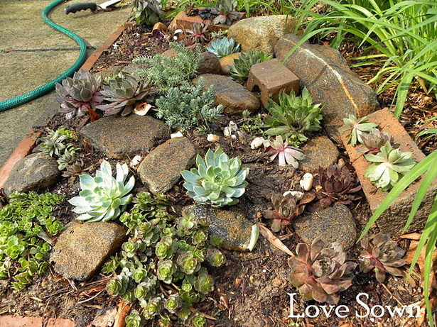 rock-garden-with-succulents-64_18 Алпинеум със сукуленти
