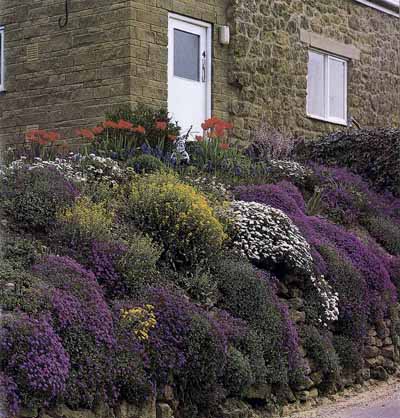 rock-wall-garden-designs-63_6 Скална стена градински дизайн