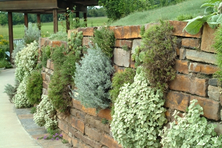 rock-wall-garden-designs-63_9 Скална стена градински дизайн