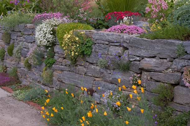 rock-wall-garden-plants-92_18 Скална стена градински растения