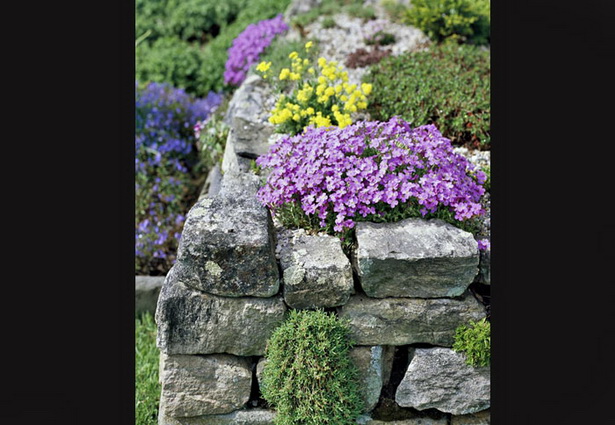 rock-wall-planting-ideas-09_11 Скална стена идеи за засаждане