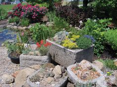 rockeries-for-small-gardens-28_12 Алпинеуми за малки градини