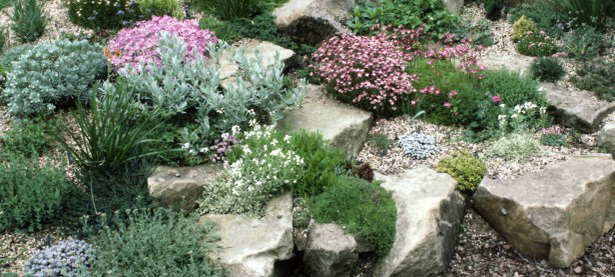 rockeries-for-small-gardens-28_17 Алпинеуми за малки градини