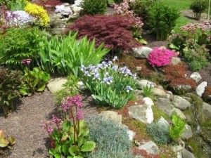 rockeries-for-small-gardens-28_20 Алпинеуми за малки градини