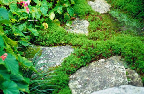 rockeries-for-small-gardens-28_8 Алпинеуми за малки градини