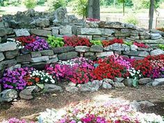 rockery-gardens-pictures-34_8 Алпинеуми градини снимки