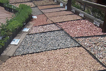 rocks-for-yard-decoration-78_17 Камъни за декорация на двора