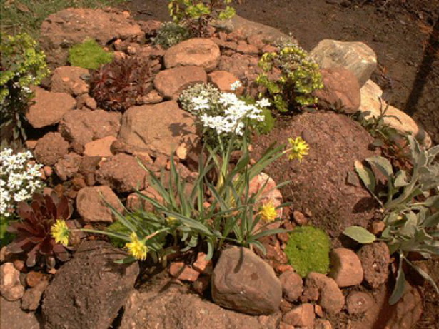 rocks-in-garden-bed-76_12 Камъни в градинско легло