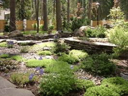 rocky-gardens-landscaping-31 Скалисти градини озеленяване
