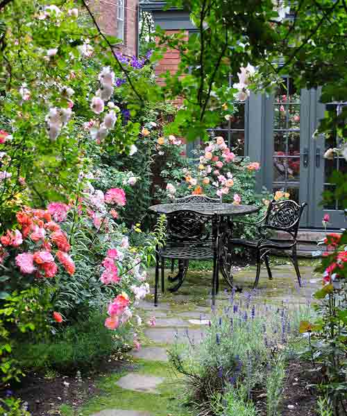 rose-cottage-garden-95_12 Роуз котидж Гардън