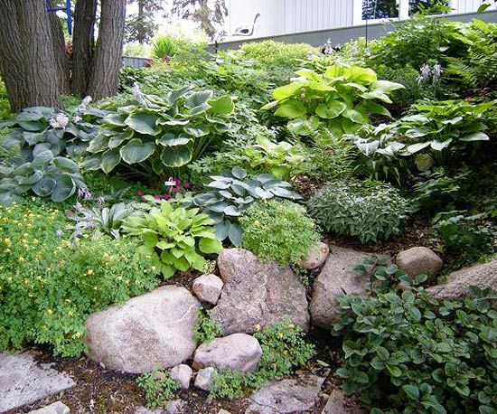 shady-backyard-landscaping-ideas-34_13 Сенчести задния двор озеленяване идеи