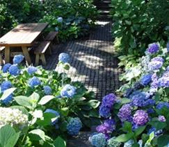 shady-front-yard-landscaping-ideas-55_5 Сенчести идеи за озеленяване на предния двор