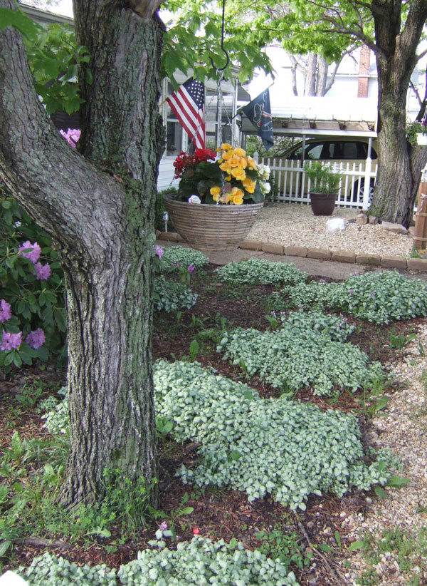 shady-front-yard-landscaping-ideas-55_8 Сенчести идеи за озеленяване на предния двор