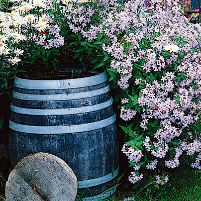 shrubs-for-cottage-garden-49_12 Храсти За вила градина